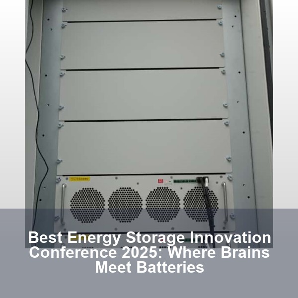 Best Energy Storage Innovation Conference 2025: Where Brains Meet Batteries
